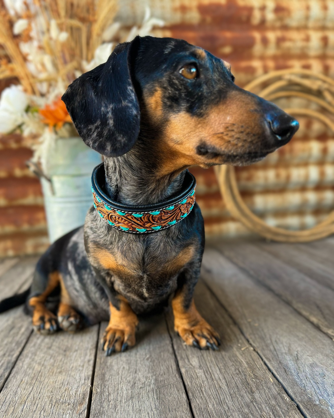 Turquoise Dog Collar