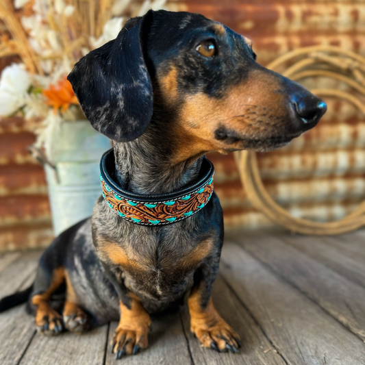 Turquoise Dog Collar