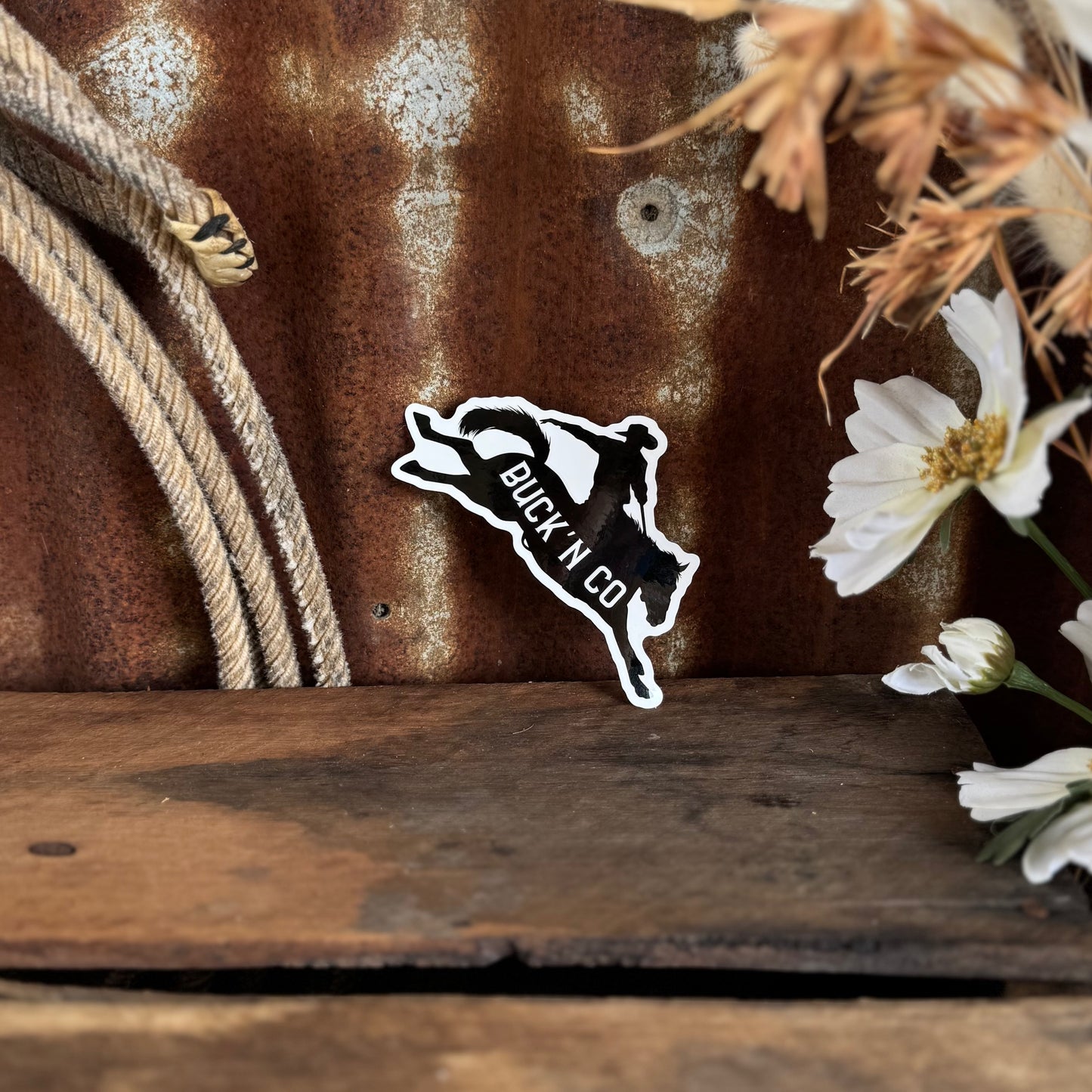 BUCK'N CO Bronc Sticker