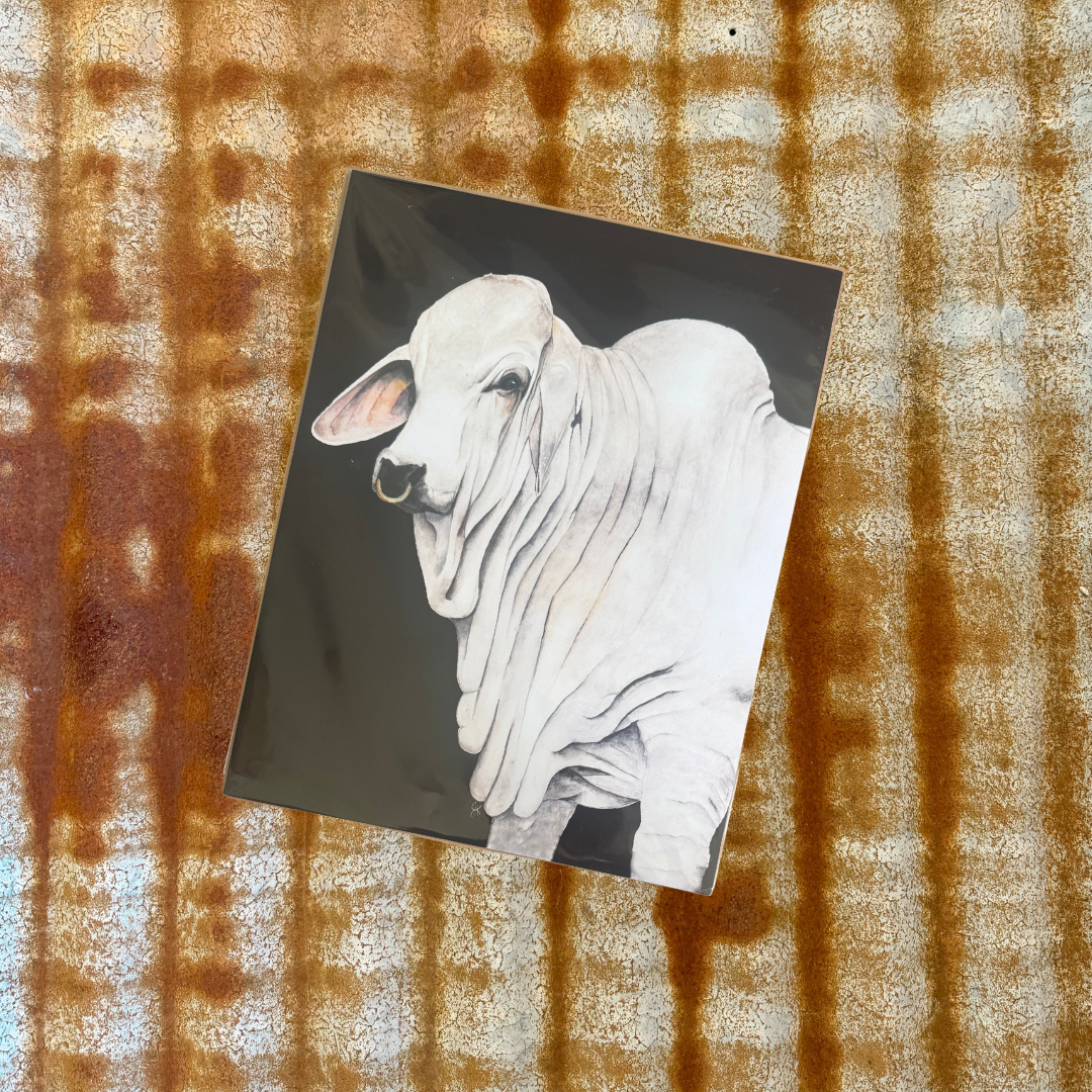 Brahman Bull Print