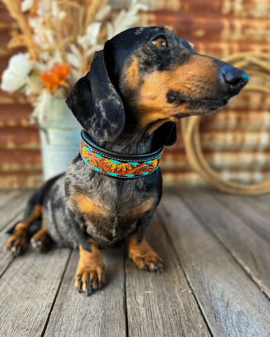 Sunflower Dog Collar