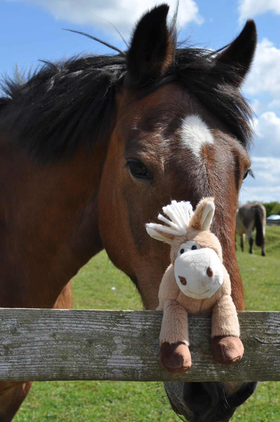 Horse Plush Toy