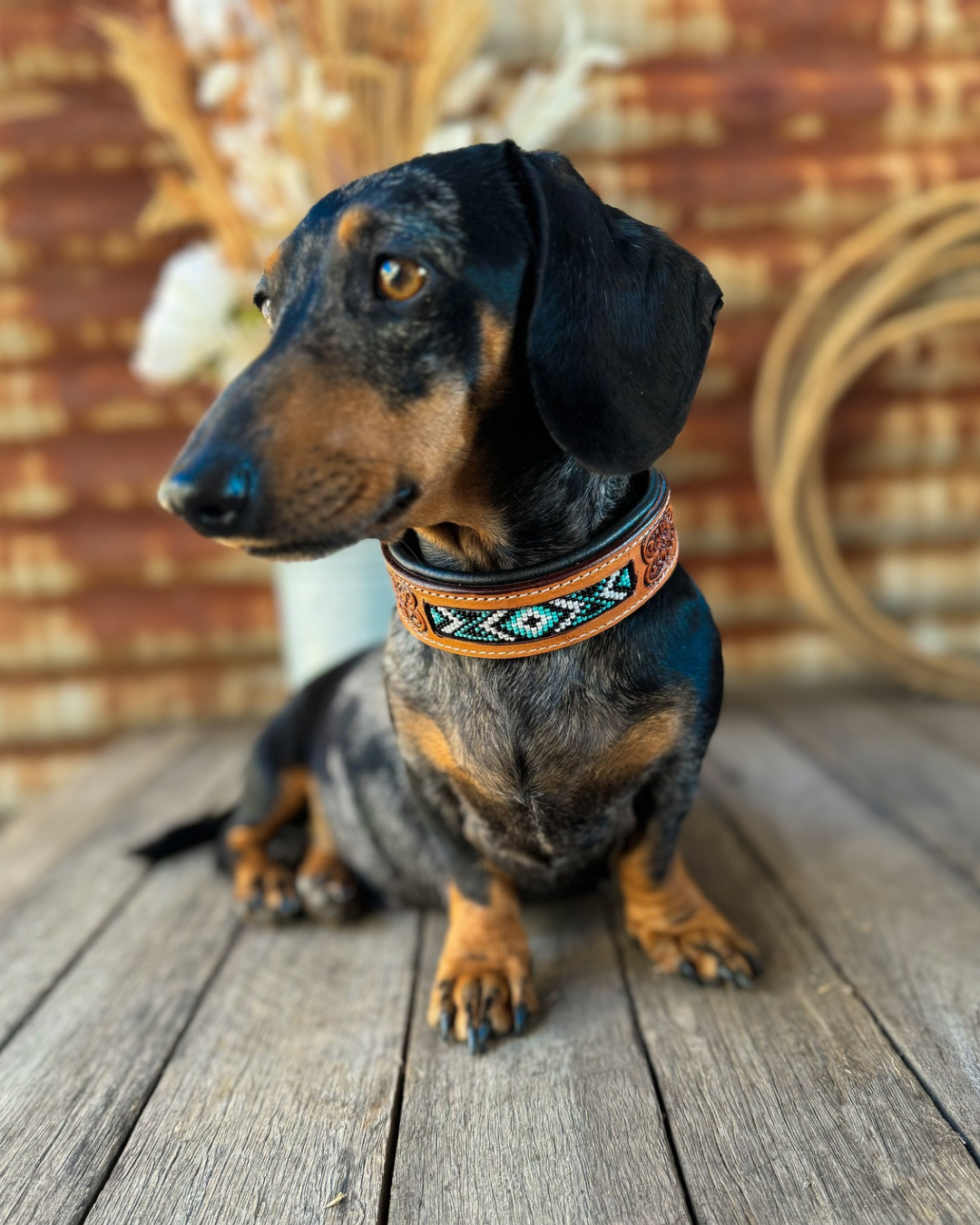 Beaded Dog Collar - Tan & Blue