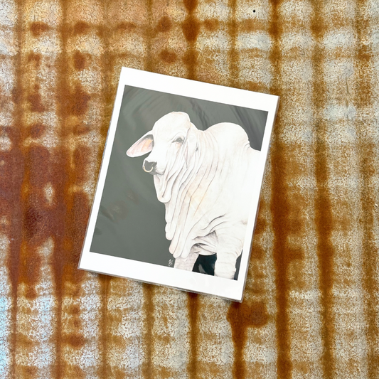 Brahman Bull Print