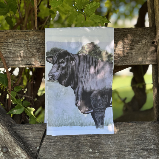 Angus Bull Tea Towel