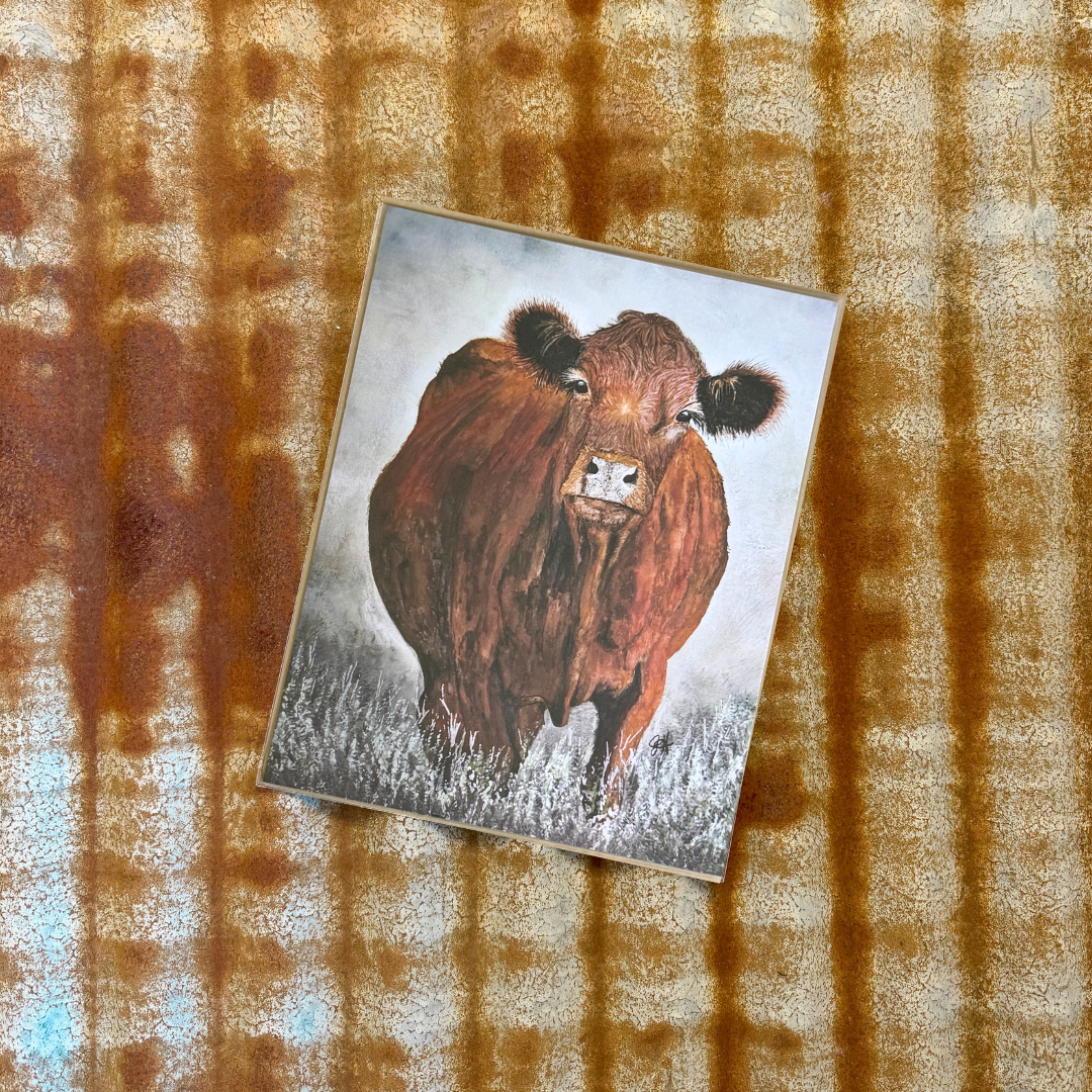Red Angus Cow Print